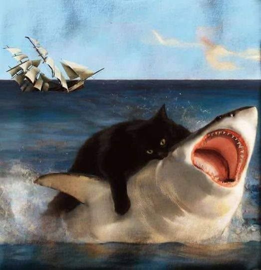 amo esta imagen xd