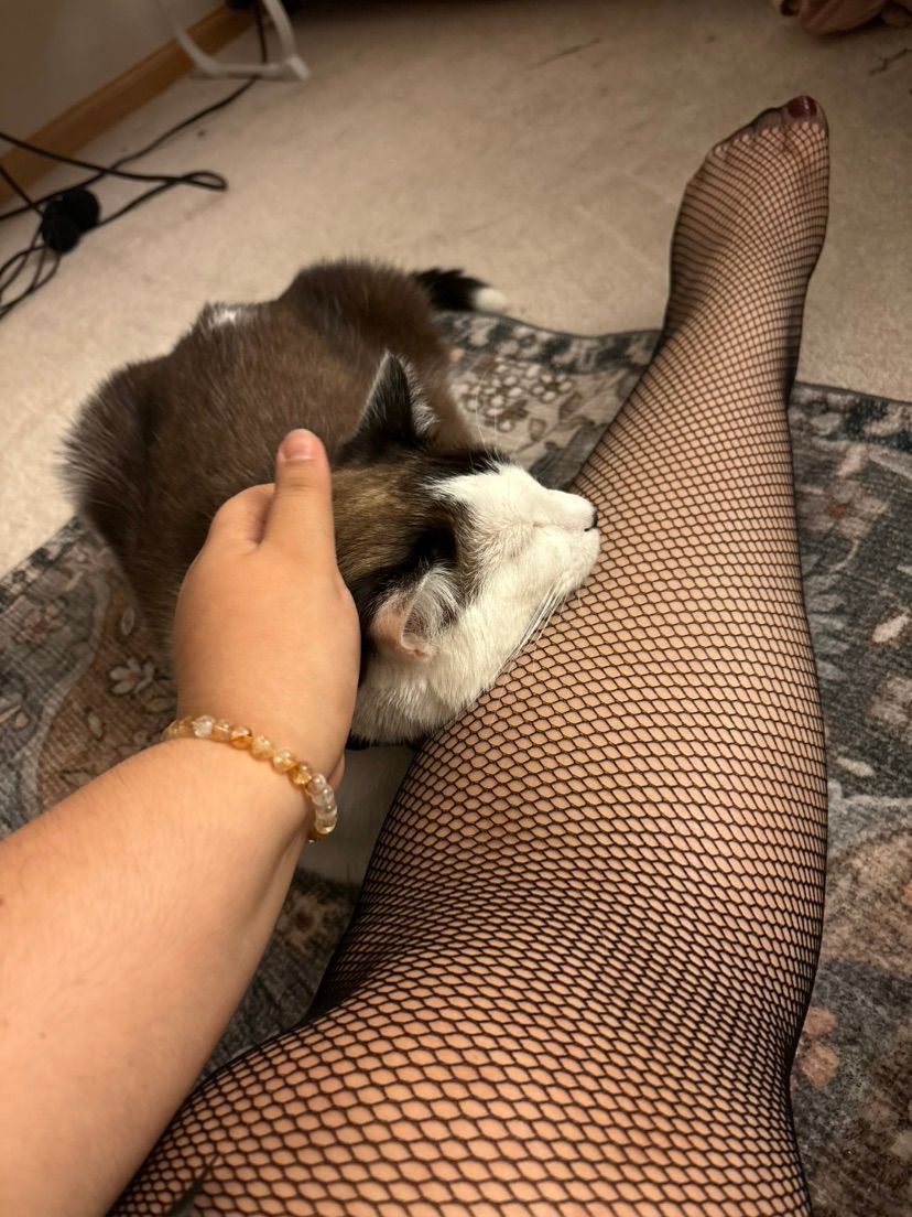 Looking for someone to chat with? Message me!