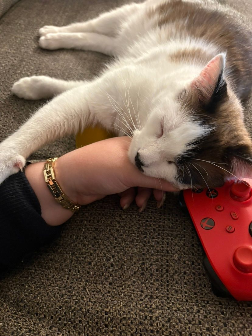 Come play with me ❤️