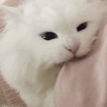 ^^
