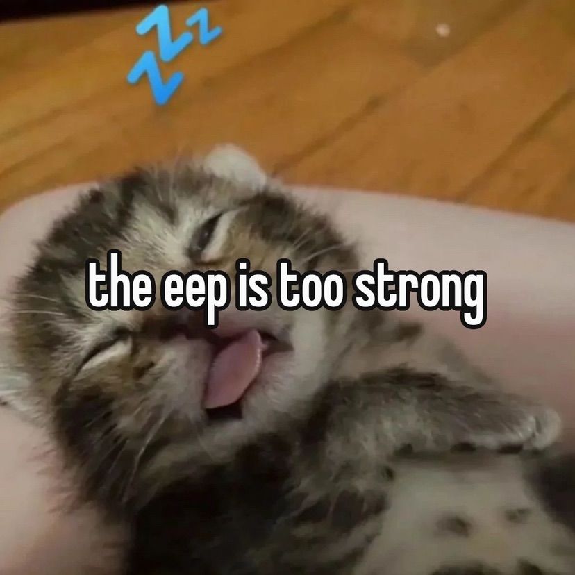 :3