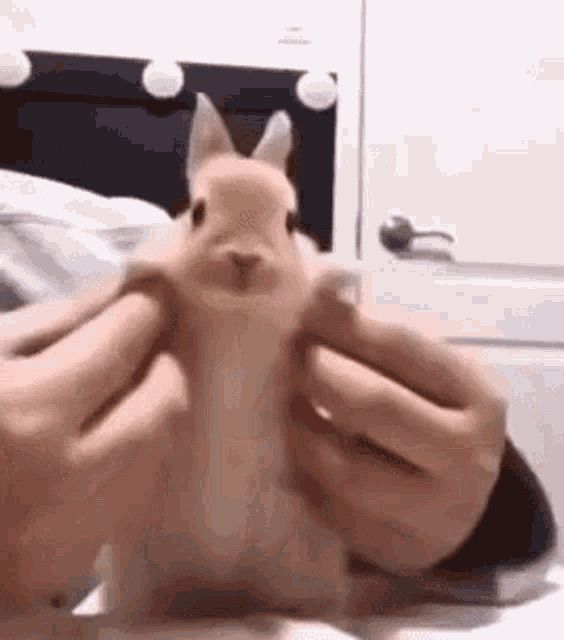 :3