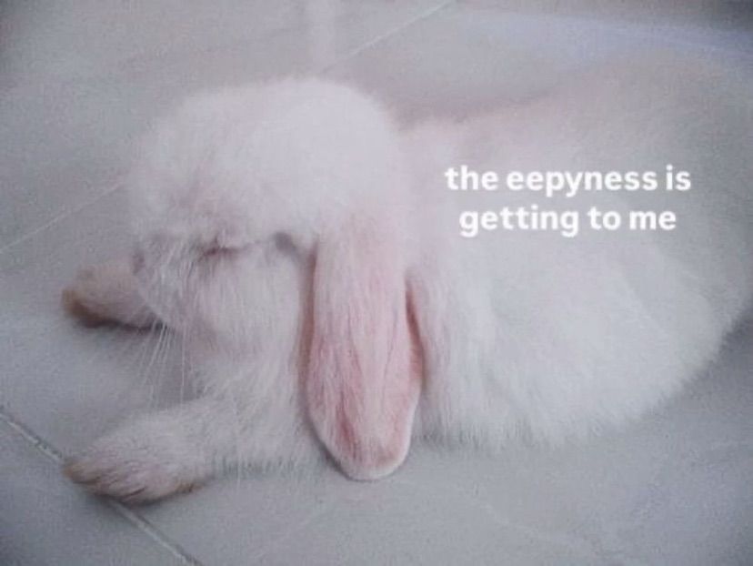 :3