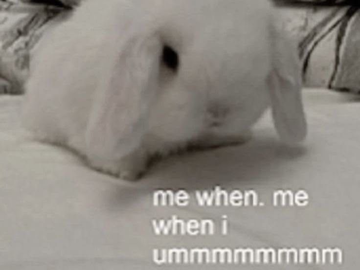 hihi