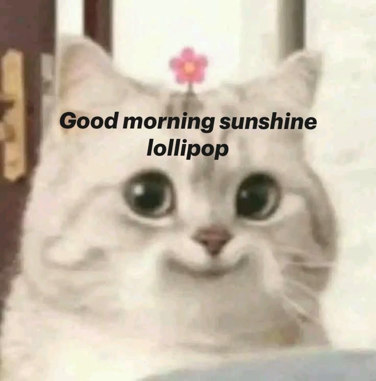 Goodmorning darlingss <3
