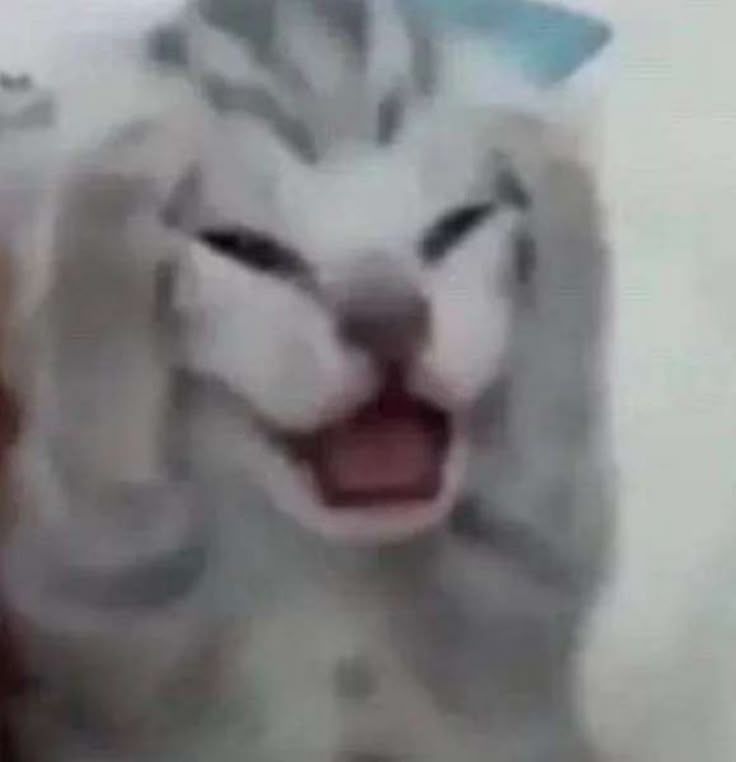 °❀⋆.ೃ࿔*:･°❀⋆.ೃ࿔*:･