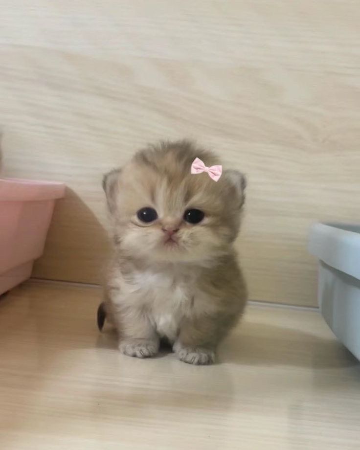 <3hey
