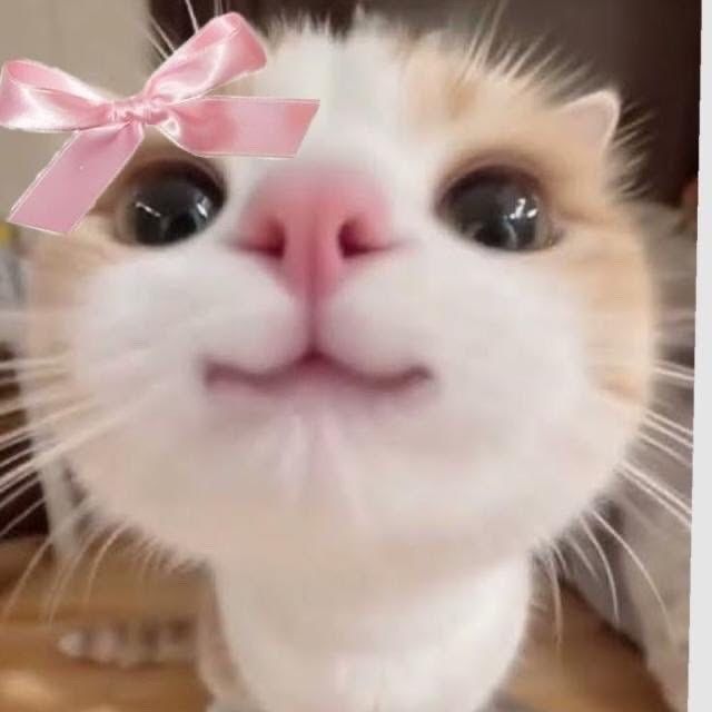 hey<3