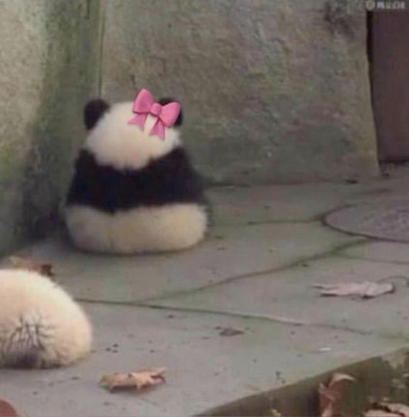 heyyy<3