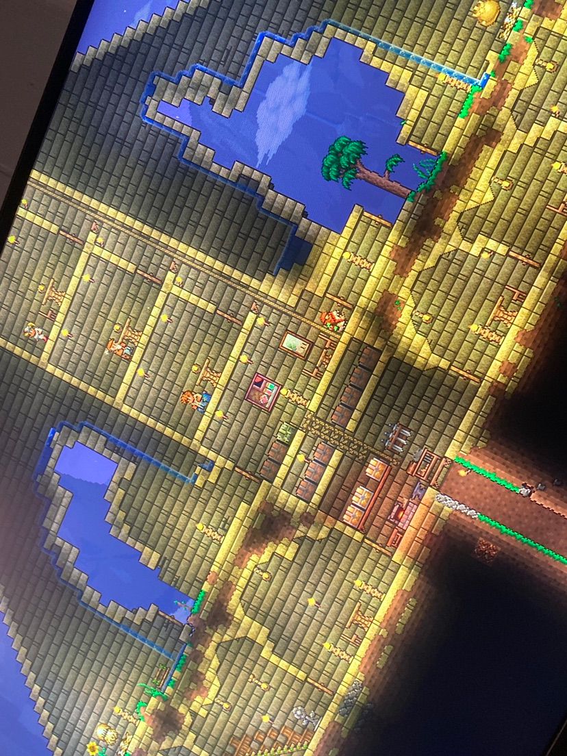 Does anybody play terraria?lol