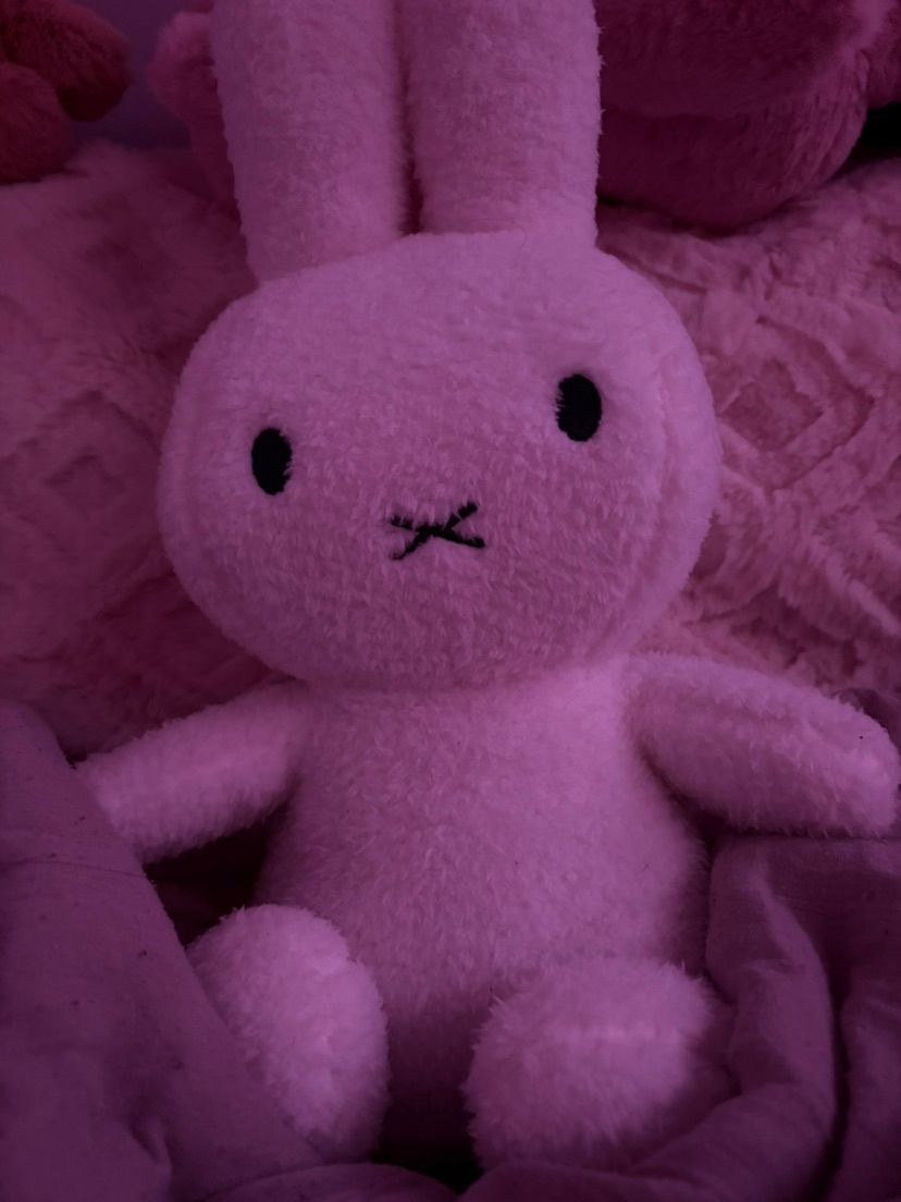 suki might love miffy