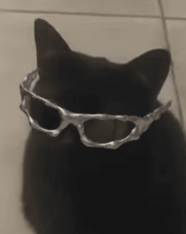 suki here!!