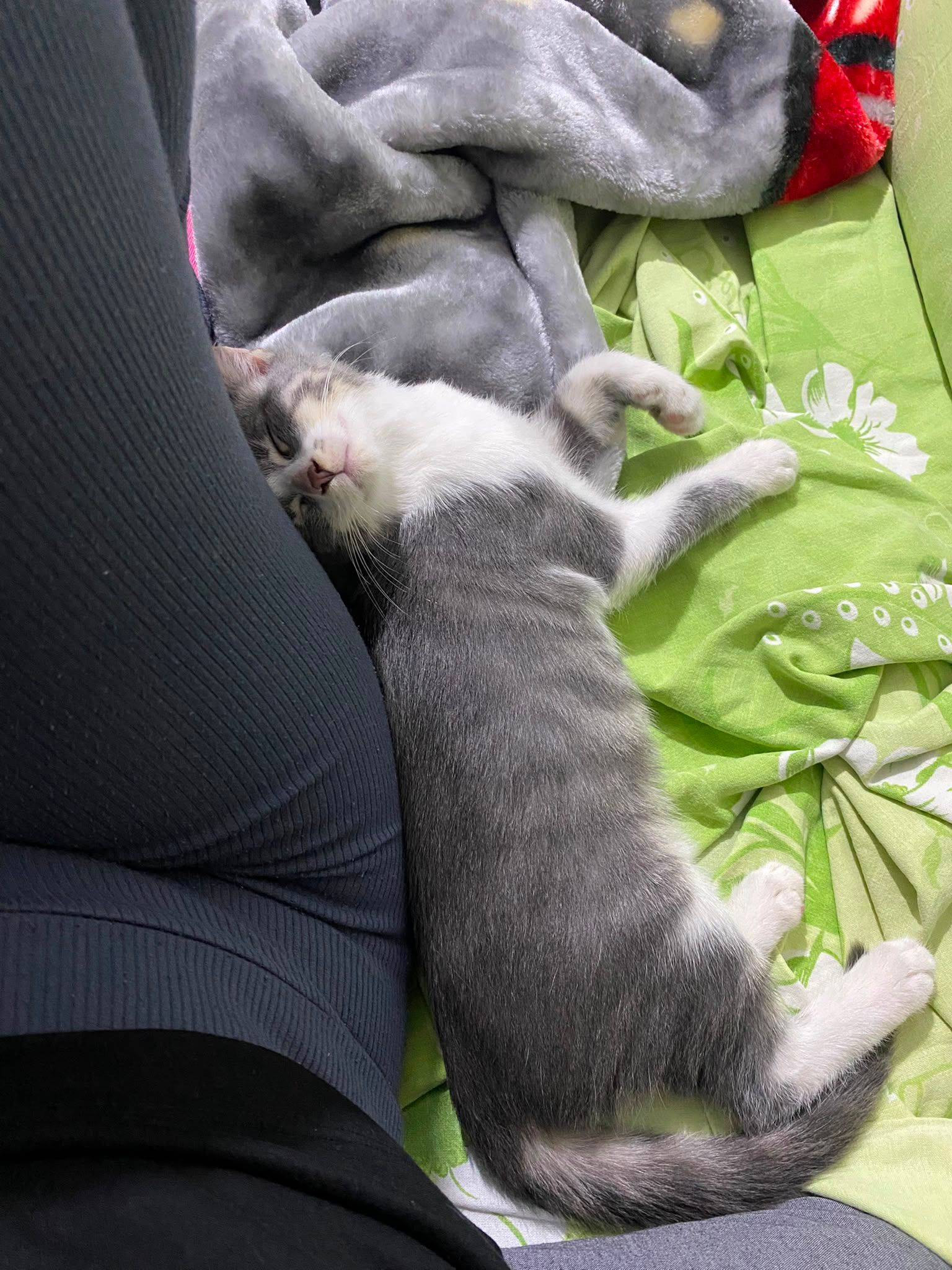 aww