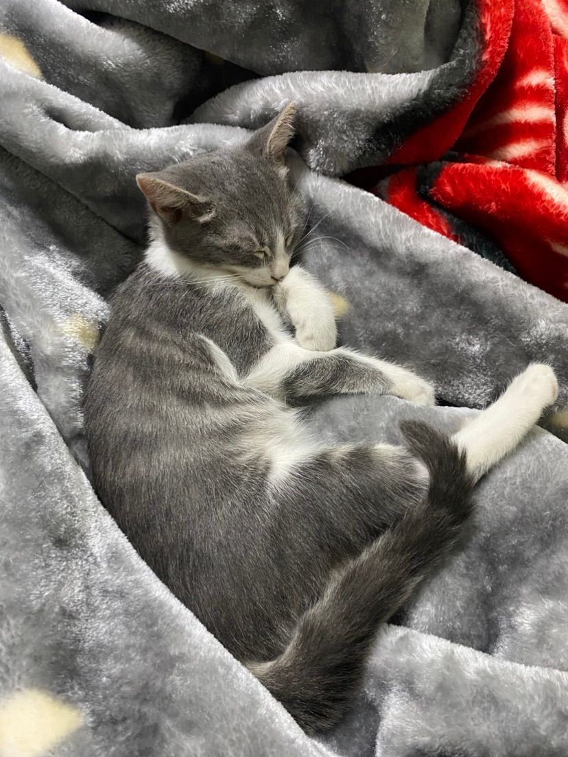 my little nap princess🥰