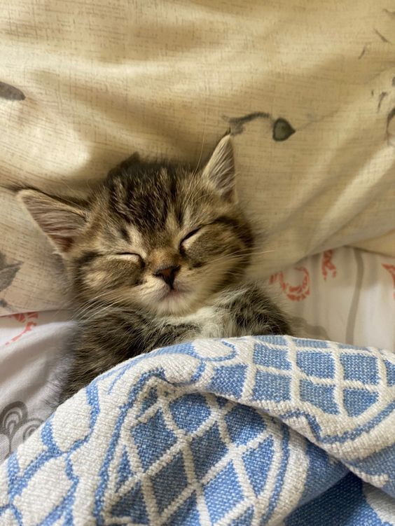 Goodnight darlings!