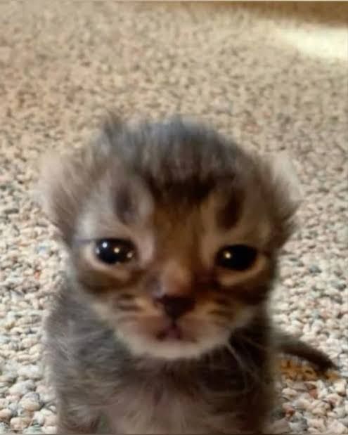 Having internet issues I'll be on tomorrow!!