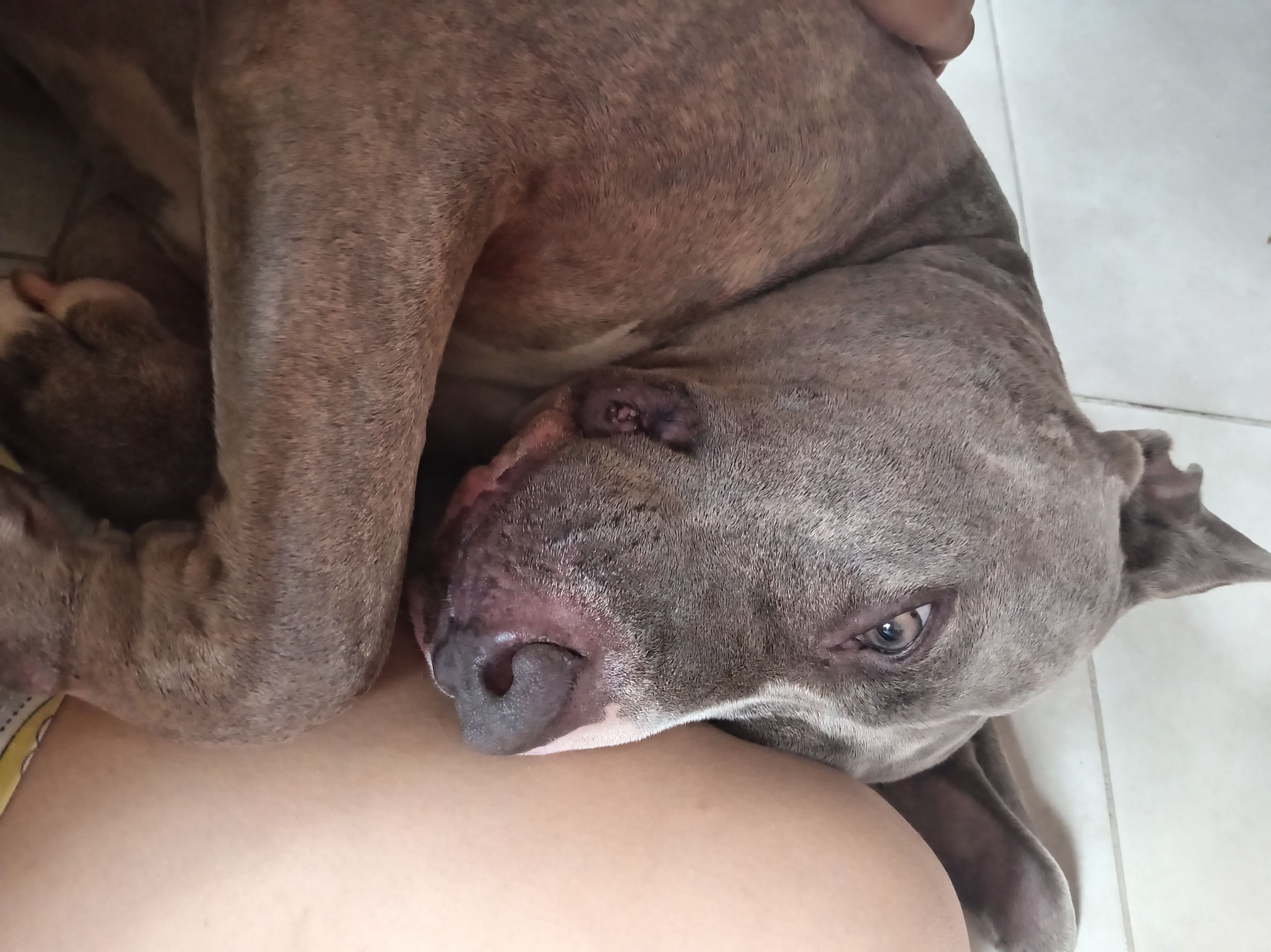 Laziness wins him