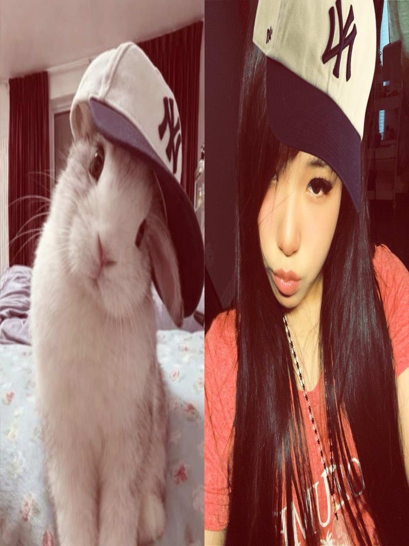 bunny bunny bunnyy