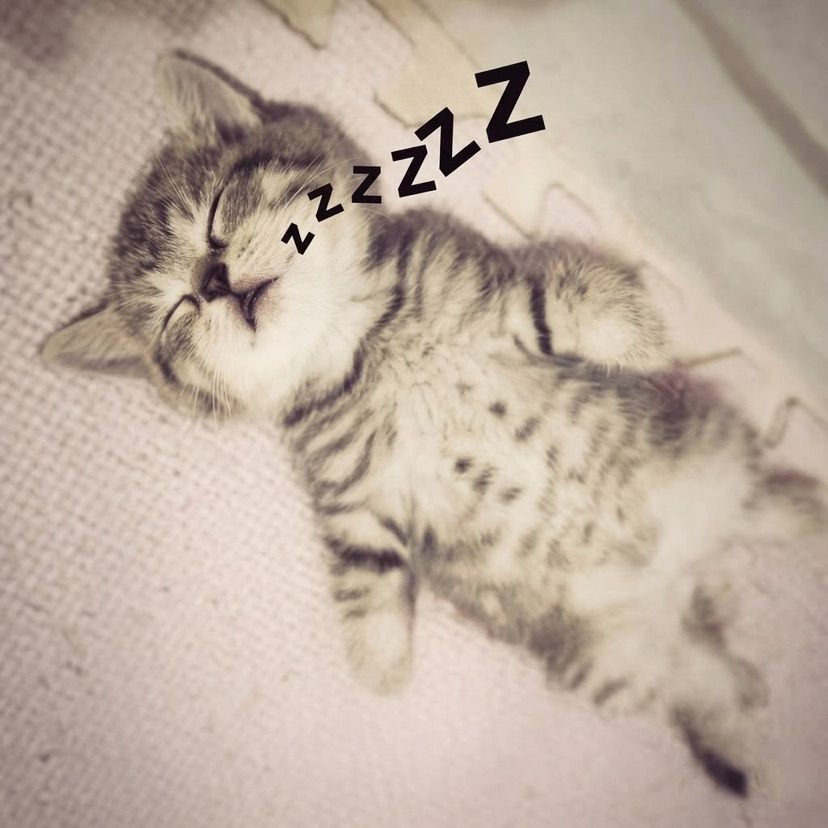 :3