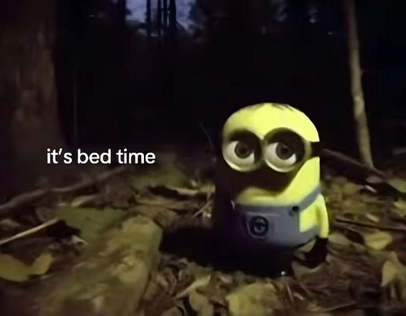 good night guys