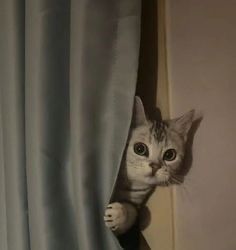 im available