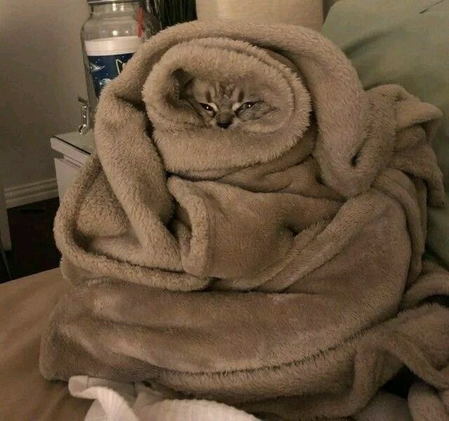 I feel soooo sick and sick