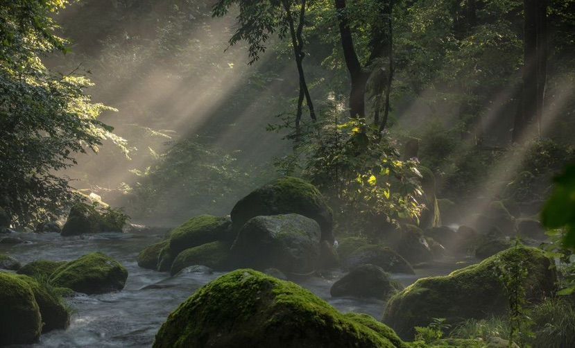 hey ˚˖𓍢ִ໋🍃˚.⛰️⋆☁️