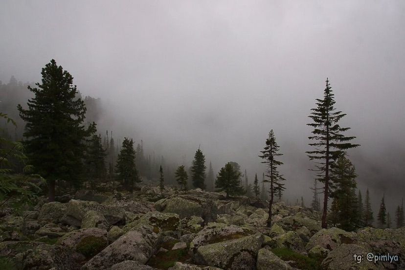 hey ˚˖𓍢ִ໋🍃˚.⛰️⋆☁️