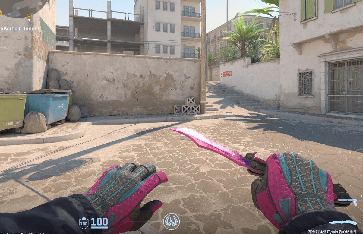 My Butterfly Knife