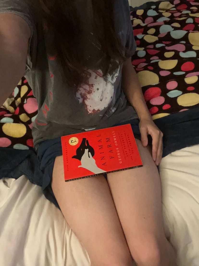 finally back home, need some attention…