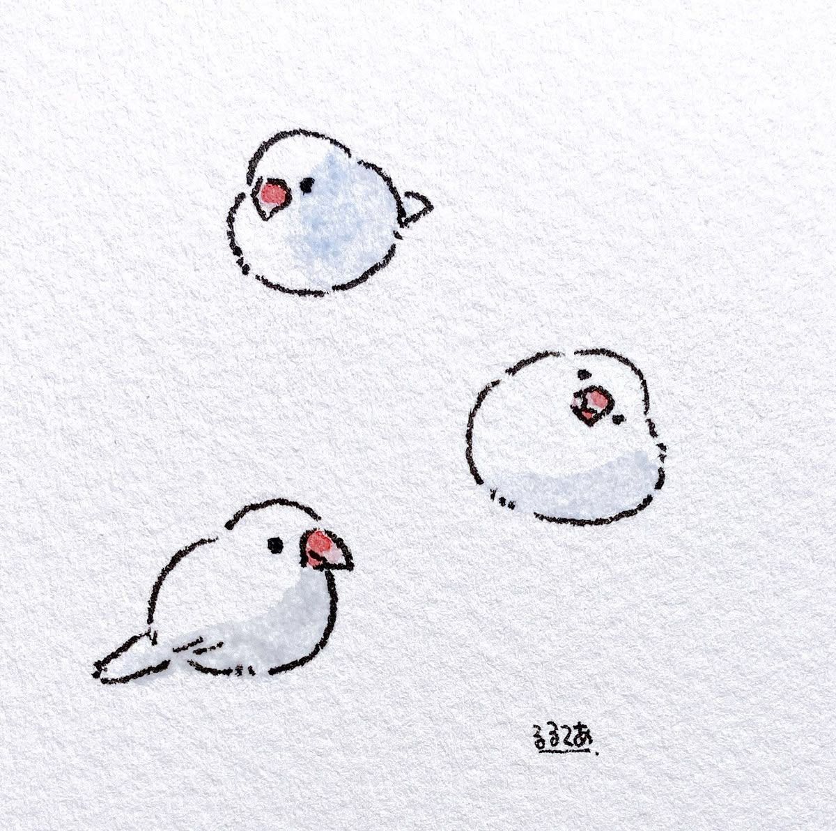 da birbbook ˏˋ 𓅰 ˎˊ˗