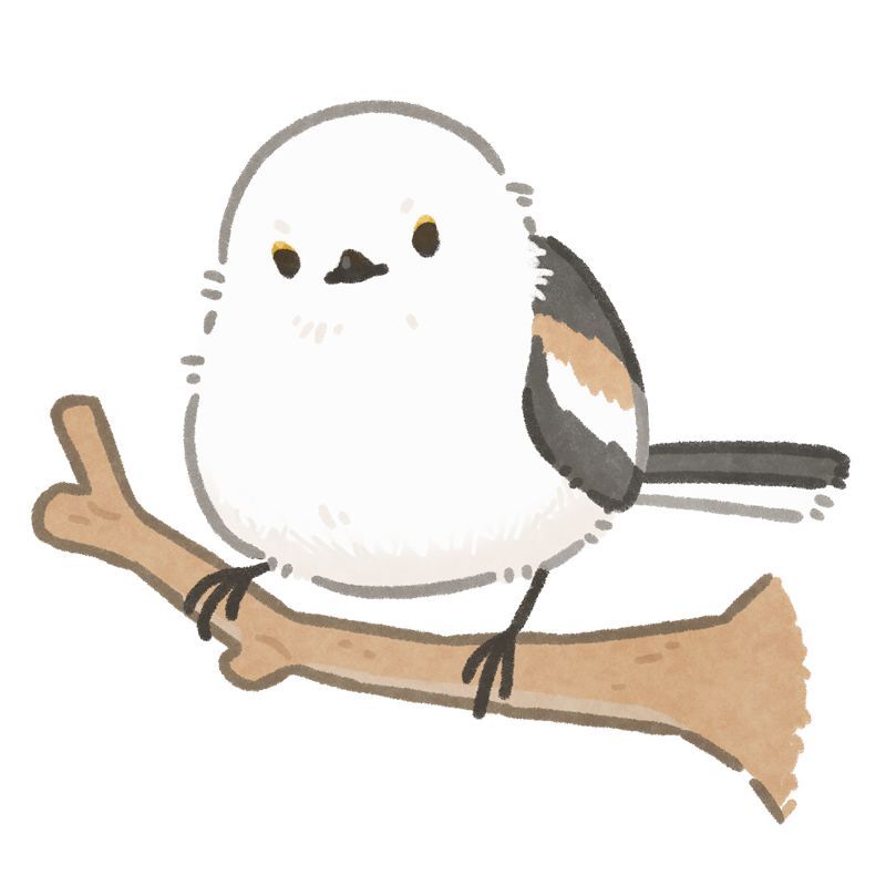 who is birb? ˏˋ 𓅰 ˎˊ˗