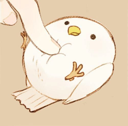 ˏˋ 𓅰 ˎˊ˗  🐣