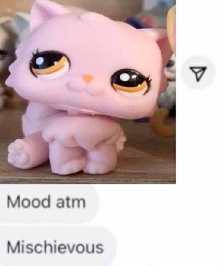 hai