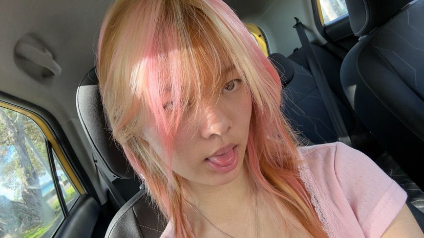 D1 passenger princess