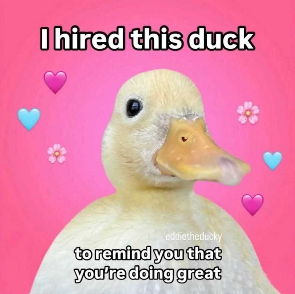 duckduck
