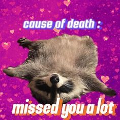 PLS SAVE ME??