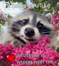 Pssst