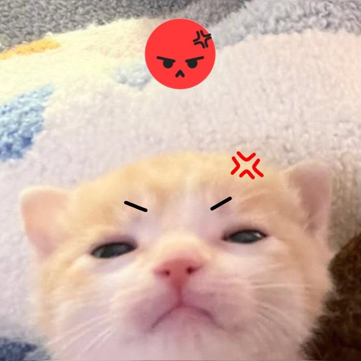 haiii