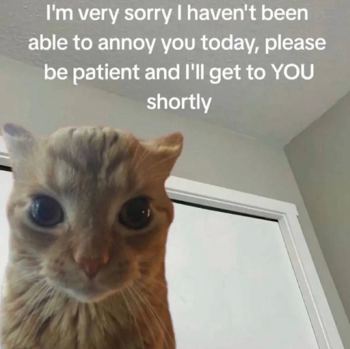 (˵ ¬ᴗ¬˵)