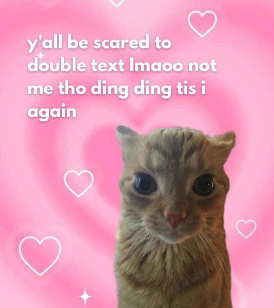 meow