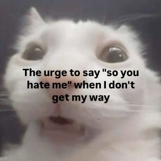 Im sowwwiii