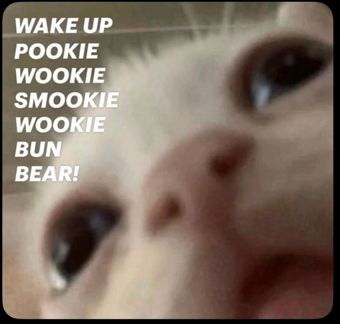 okiii mii is awake
