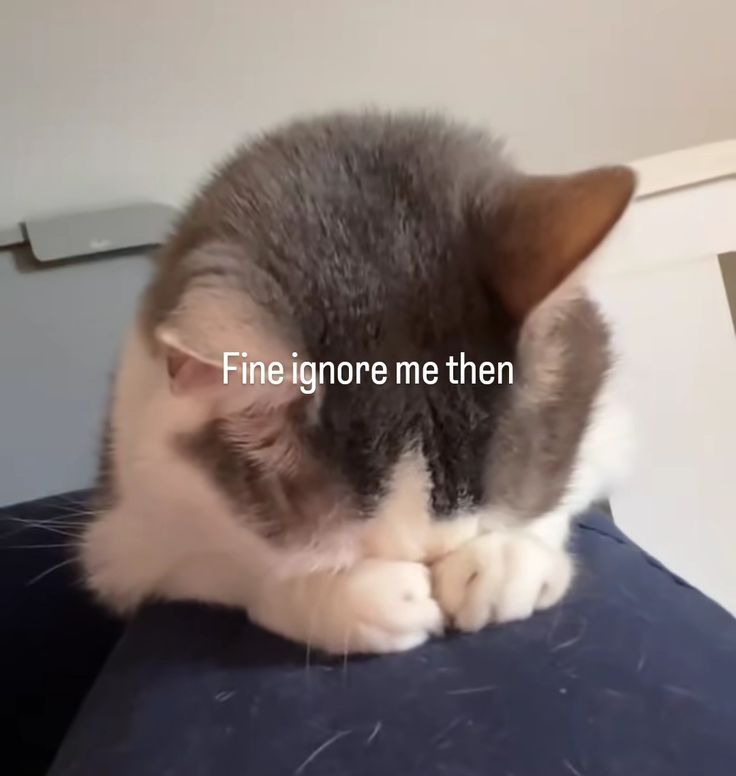 I see how it is