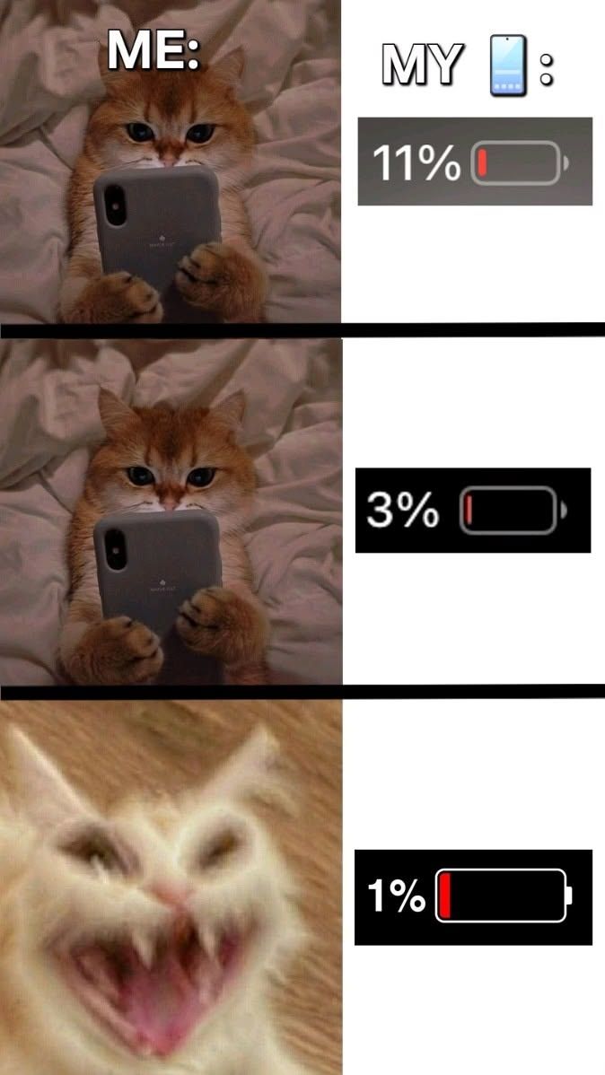 pls only text me when im on computa