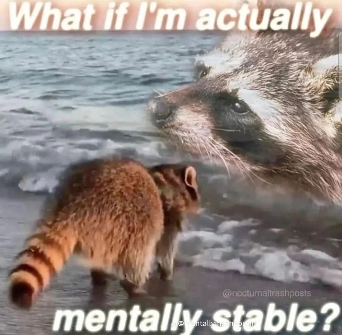i think about this a lot