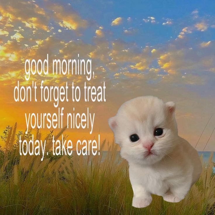 Meowning! ฅᨐฅ