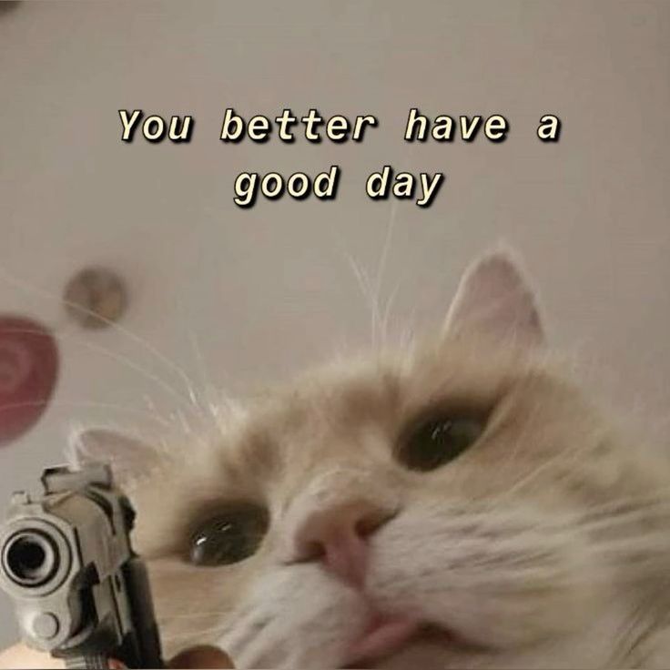 GOOOD MEOWNING