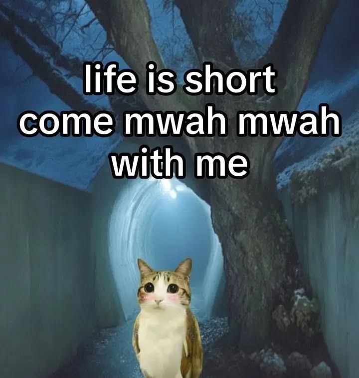 LISTEN TO KITTY