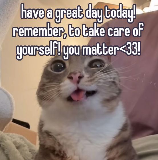 hehe it's meowwwwning